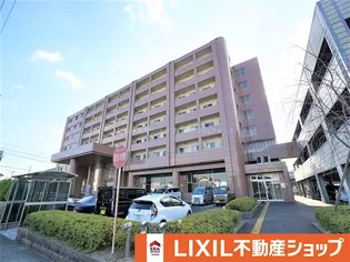 ベルヴィオウミの画像