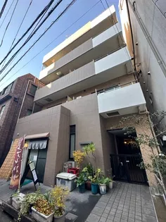 CASAの画像