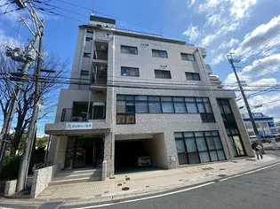 クッキィーセタの画像