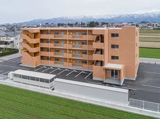 ドリームフェリオ【1階】の外観