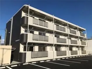 URBAN FOREST Tの画像