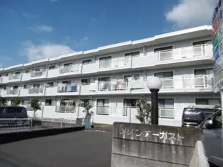 メゾン・オーガスト【3階】の外観