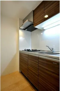 SYNEX NISHI-OI【4階】のキッチン