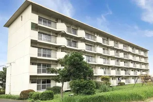 ビレッジハウスなかのめ1号棟【2階】の外観