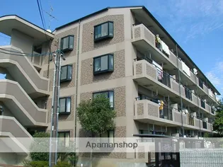 メゾンシンテルの画像