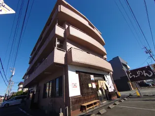 オリーブの画像