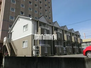 フラットコート泉の画像