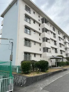 大久保東第一住宅8号棟の画像