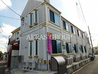 ソフィアオリーブの画像