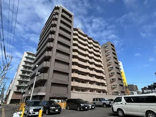 シルキーU6 1の画像
