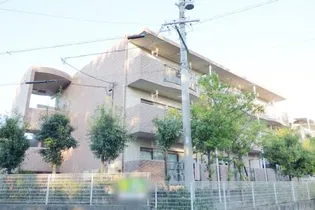 ベルコスモスの画像