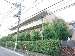 カーサの画像