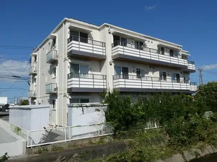 シアラ日の出の画像