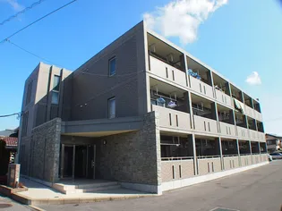 プリムローズの画像