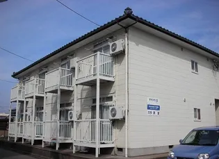 マキシマ12の画像