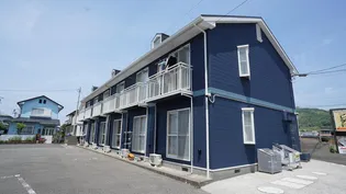 アミリーの画像