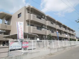 林マンションF【3階】の外観