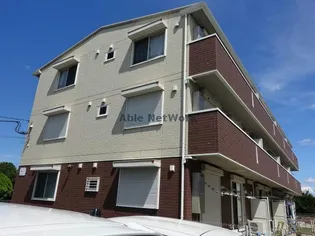 コットンパレスの画像