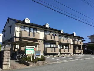 アーバンエンジェルの画像