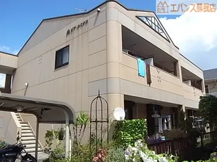 ピアルミナスの画像