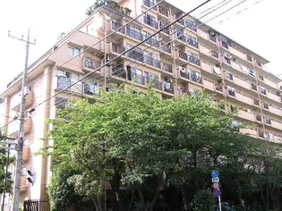 ジュネシオン平井の画像