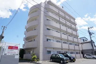 宮城県仙台市宮城野区幸町1【マンション】の外観