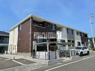 ビオーラの画像