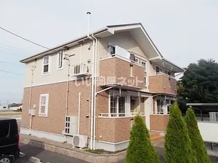 スターライトの画像