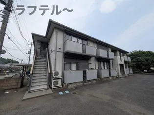 セルサスハイムの画像