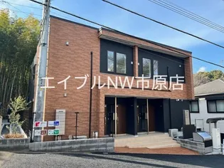 バイリンの画像