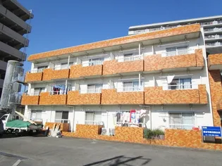 チトセヤメゾンの画像