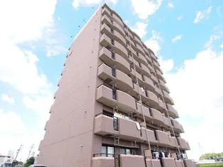 ハートフル春里の画像