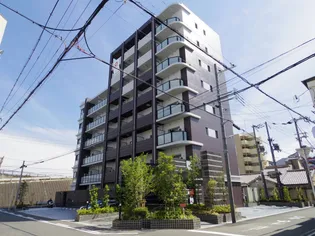 幸COURT TSUKAMOTOの画像