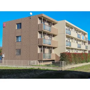 ハートフル ラシーヌの画像