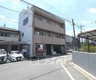 コットンハウス95【5階】の外観
