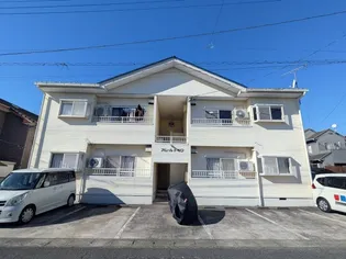 アムールトキワの画像