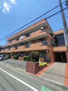 エクセル柏座の画像