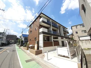 パインツリーの画像