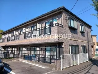PRIMROSE NATIVEの画像