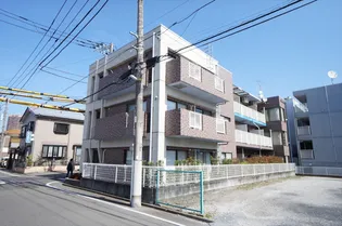 ステンドールKの画像