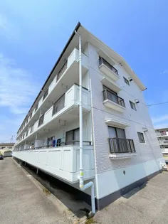 メゾン森川の画像
