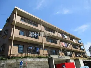 サンフローラの画像