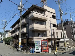 白川ロイヤルハウス【2階】の外観