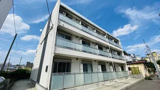 プリメーロ輝の画像