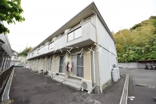 シティハイムパンジーの画像