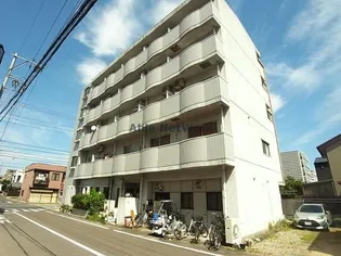 エクセル香蘭の画像