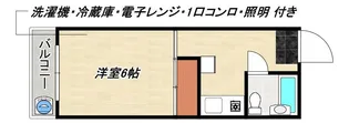紫苑ビル【3階】の間取り