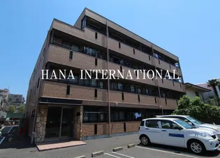 カリブの画像
