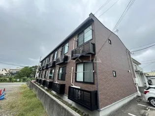 グレースDの画像