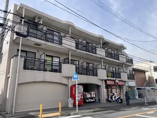 アムールフジの画像